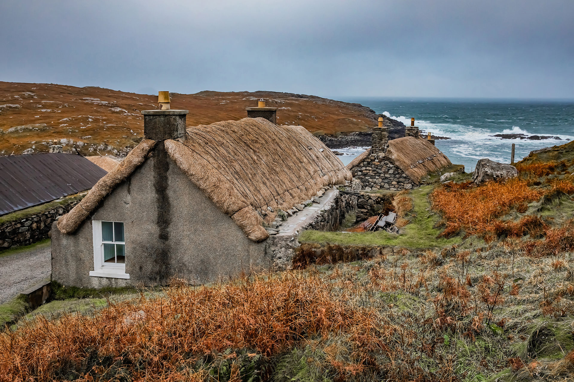 Shutterstock 1590243523