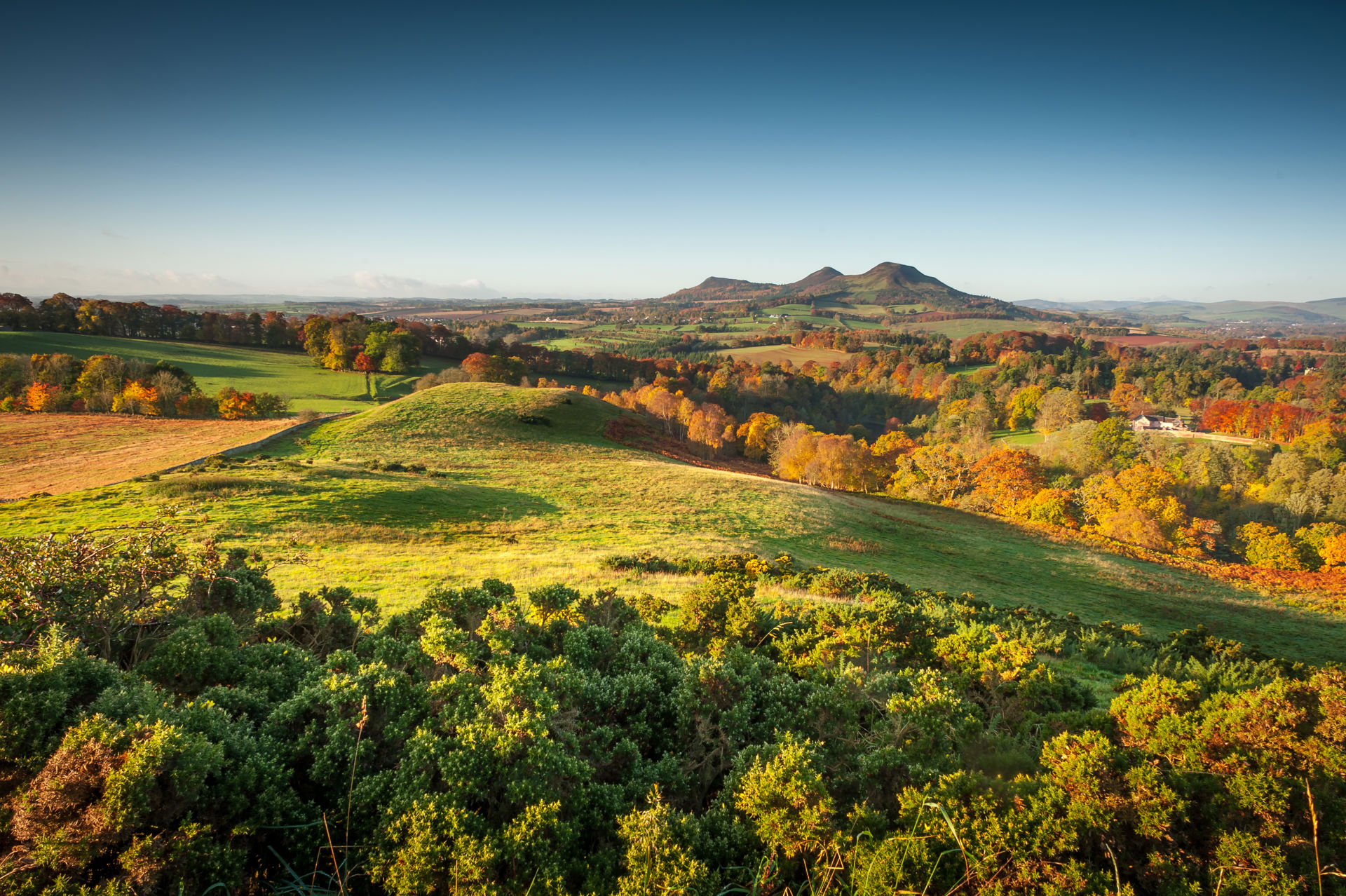 Shutterstock_Scottish Borders